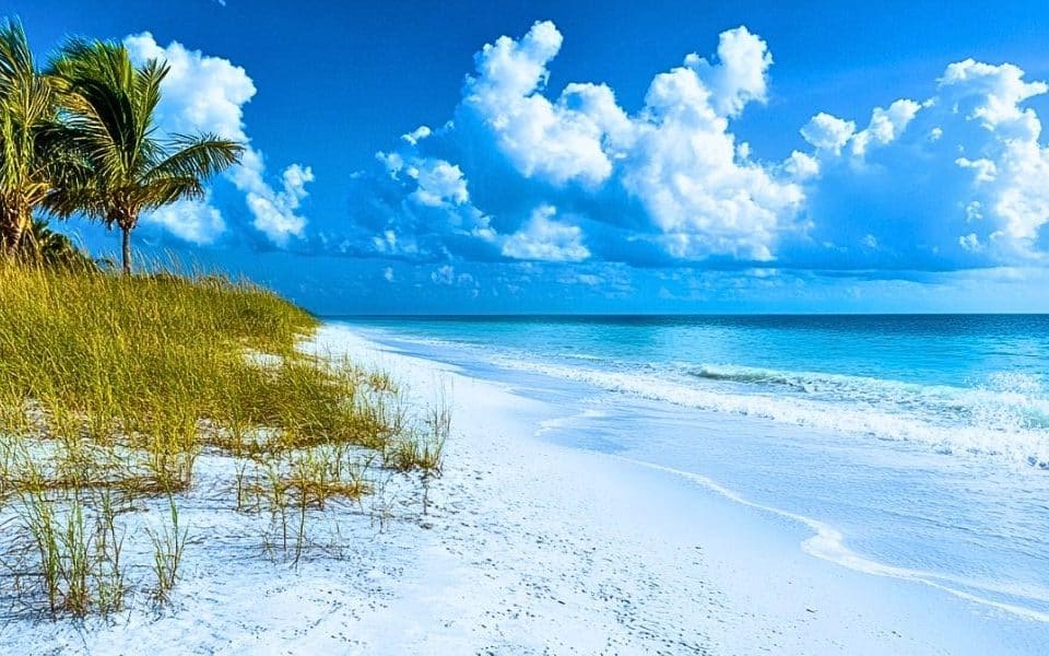 Anna Maria Island Beachfront Rentals