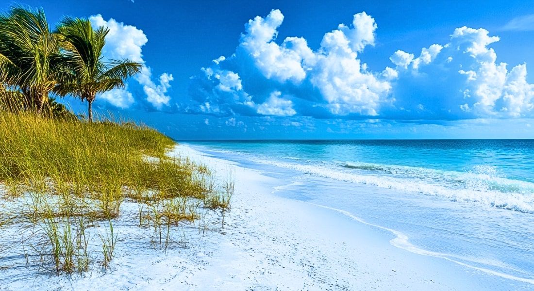 Anna Maria Island Beachfront Rentals